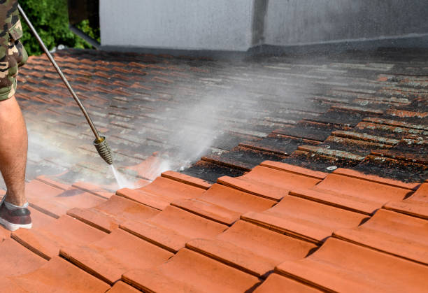 Best Commercial Building Pressure Washing  in Frederick, MD